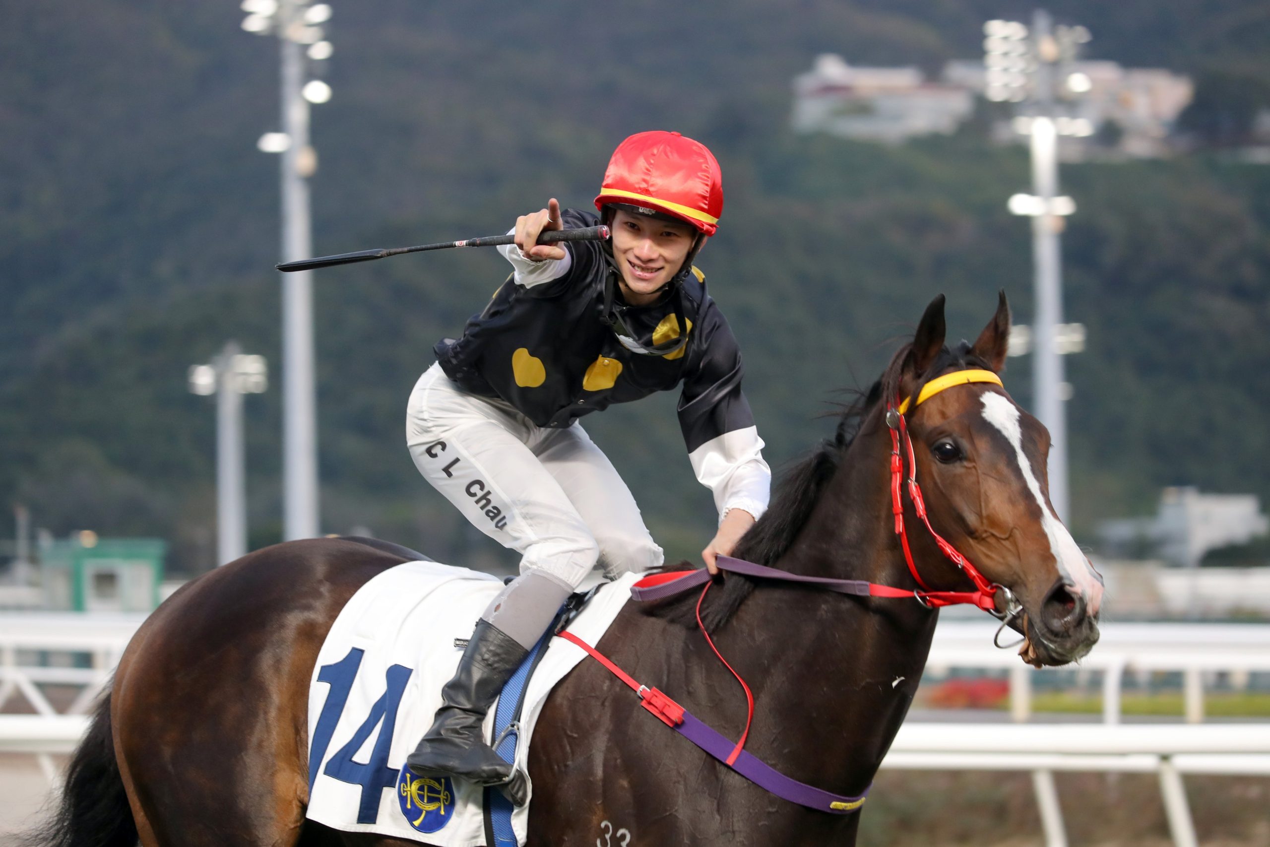 Adoptez Elegant Life pour remporter une victoire dans la Valley